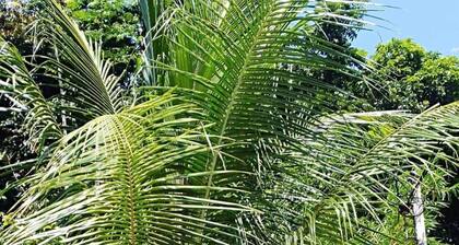 Cozy 1-bedroom house in quiet residential village.