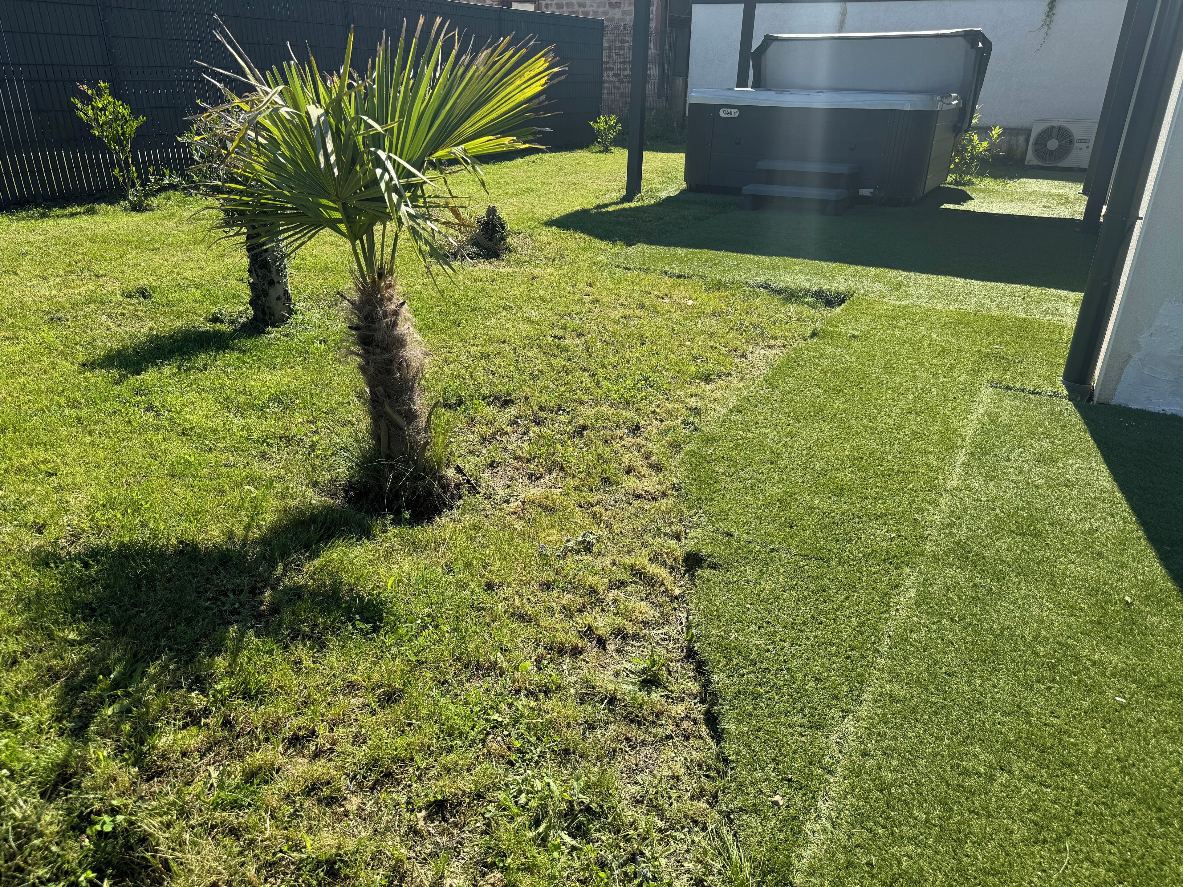 Un jardí ben cuidat amb una palmera i una banyera d'hidromassatge al fons.
