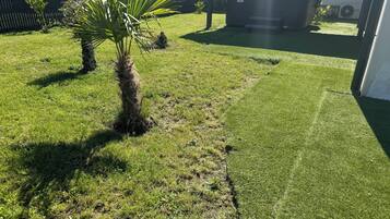 Un jardí ben cuidat amb una palmera i una banyera d'hidromassatge al fons.