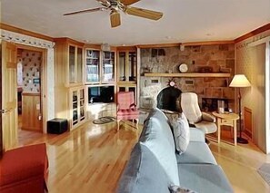 Smart TV, fireplace, books