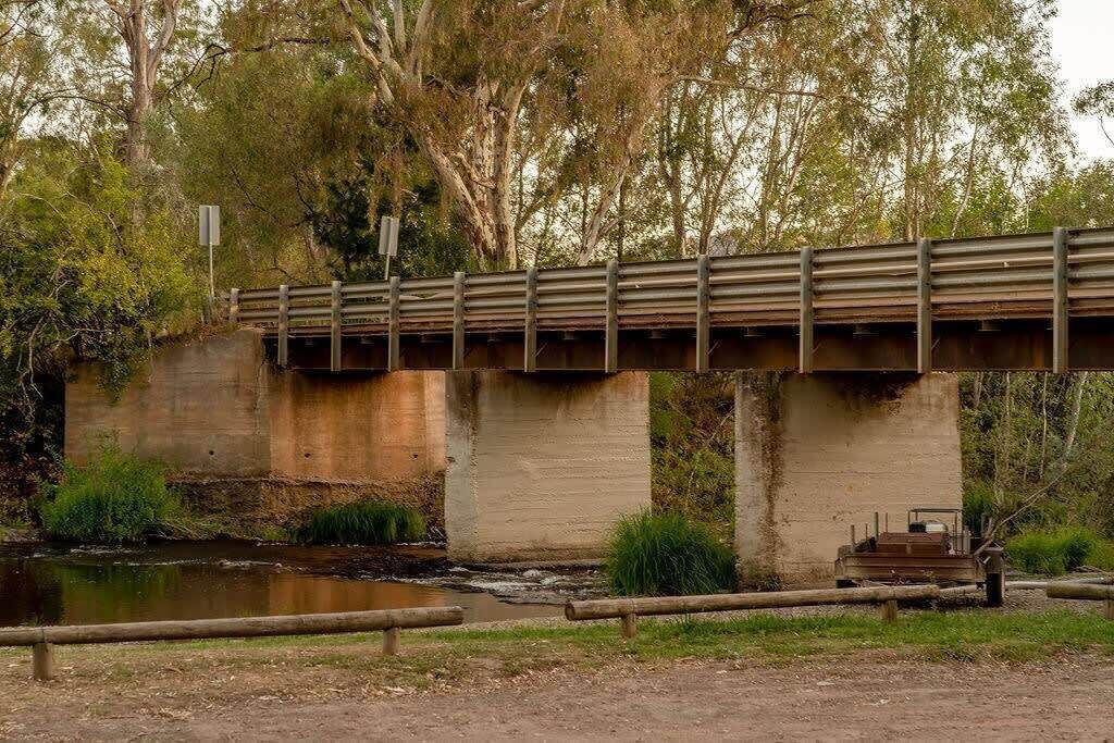 Un puente de hormigón con barandilla de metal que cruza un cuerpo de agua, rodeado de árboles y vegetación.