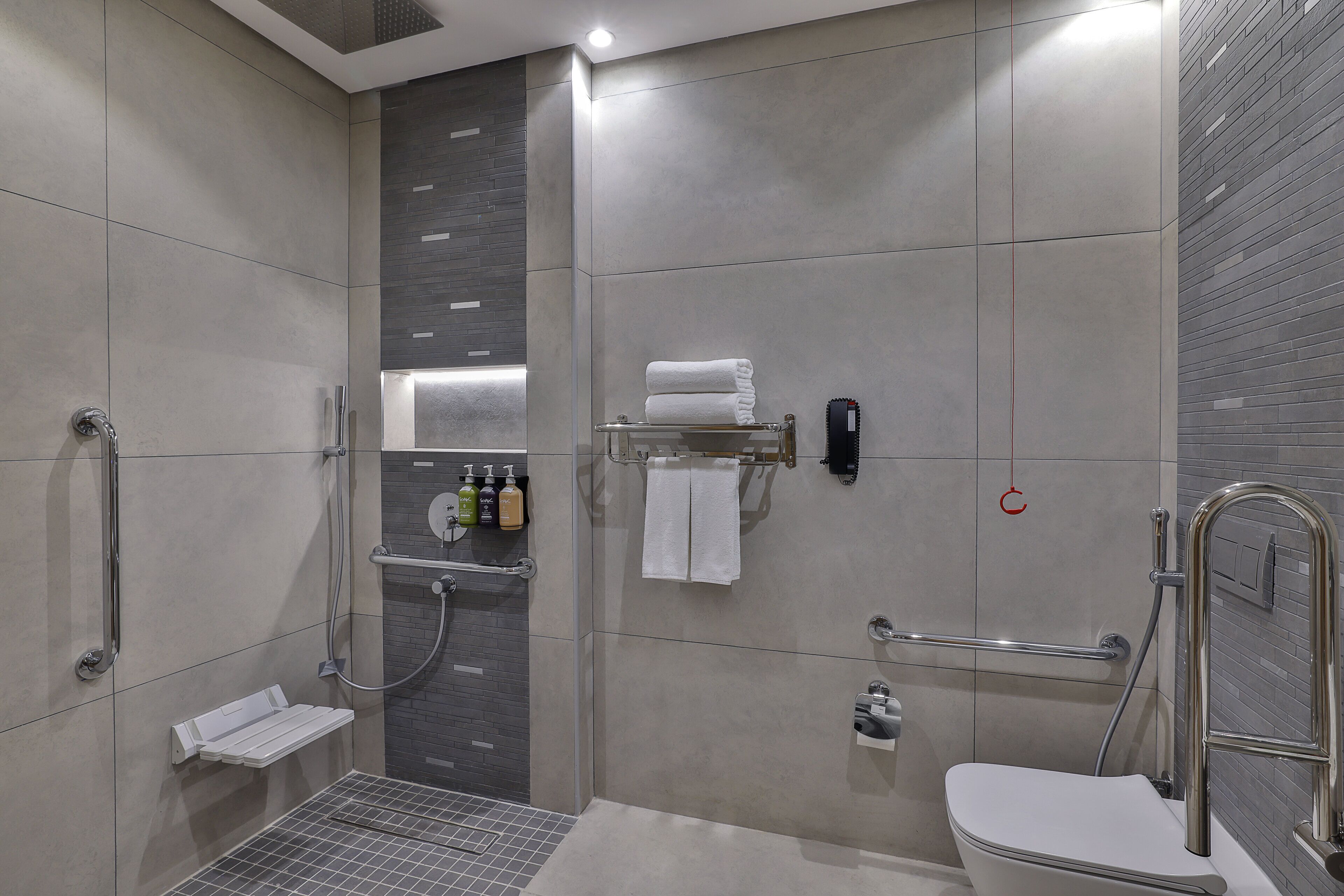 A modern bathroom with a shower, toilet, and handrails.