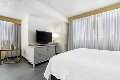 Holiday Inn Orlando International Drive ICON Park, an IHG Hotel - Image 66