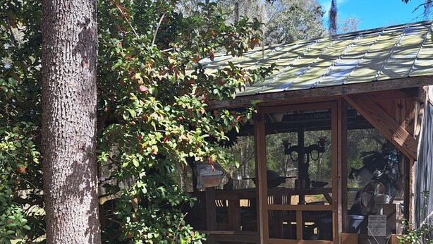 Une structure rustique en bois, dotée d’une paroi vitrée, et entourée d’arbres et de feuillage.