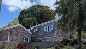 A stone building with a stone staircase, a small garden with plants, and a palm tree. - Peter Hytte is close to everything at great price! (Windward Side)