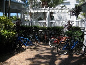 Property grounds - Key West, FL - Ocean Front - Coconut Beach Resort (Key West)