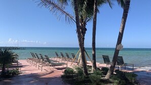 Un salón junto a la playa con tumbonas y palmeras, un muelle al fondo y un cielo azul despejado.