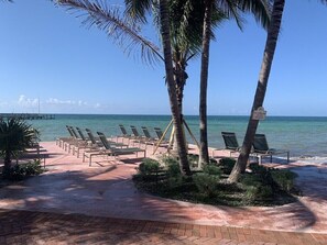 Property grounds - Key West, FL - Ocean Front - Coconut Beach Resort (Key West)