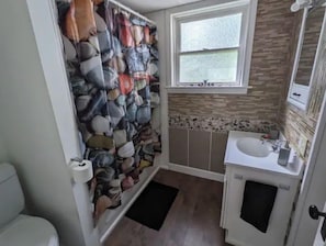 Shower, hair dryer, towels, soap - Funky, Fido-friendly flat near downtown Ishpeming. (Ishpeming)