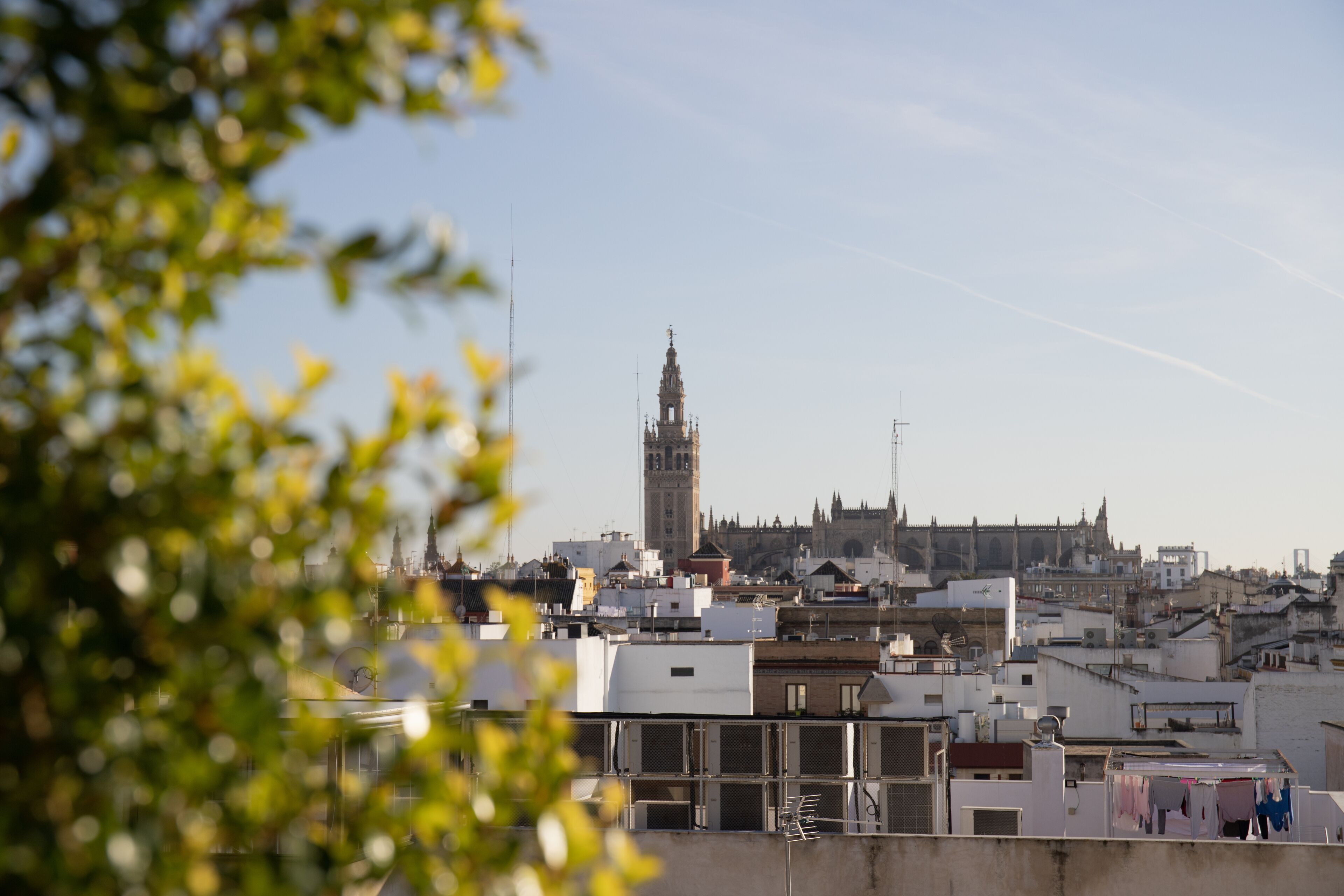 A cityscape with a prominent tower and a cathedral in the background.