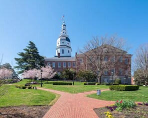 Exterior - Stunning, Large Historic Annapolis Home, Steps to Downtown, Private Driveway! (Annapolis)