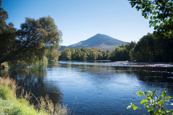 Une rivière avec une montagne en arrière-plan.