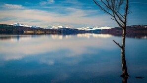 Ein ruhiger See mit einem kahl stehenden Baum im Vordergrund und schneebedeckten Bergen im Hintergrund.