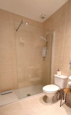 Hair dryer, towels - Loch Rannoch Highland Club Highland Lodge 47 (Kinloch Rannoch)