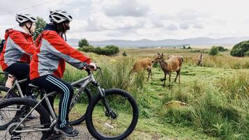 Zwei Radfahrer auf einer Straße, im Hintergrund eine Wiese und Berge.
