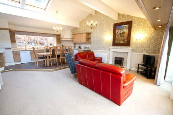 تلفزيون، مدفأة