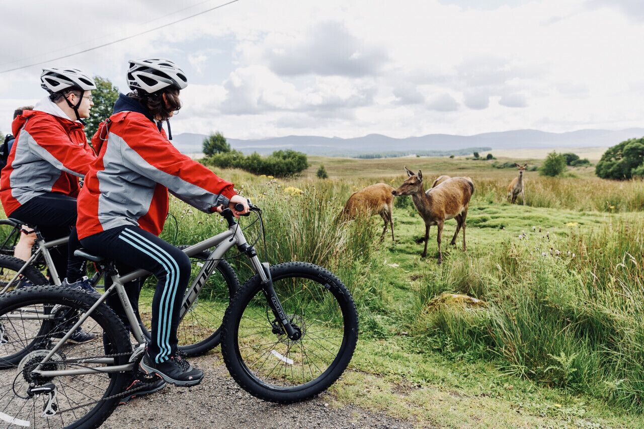 Two cyclists on a road with a grassy field and mountains in the background.