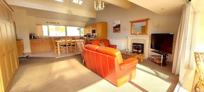 TV, fireplace