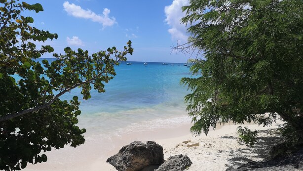 A beach with clear turquoise water, sandy shore, and rocky outcrops. - Hillside view and a pool (Bridgetown)
