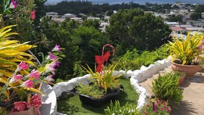 Unclassified image, 5 of 10, button - Hillside view and a pool (Bridgetown)