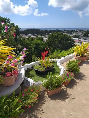 Property grounds - Hillside view and a pool (Bridgetown)