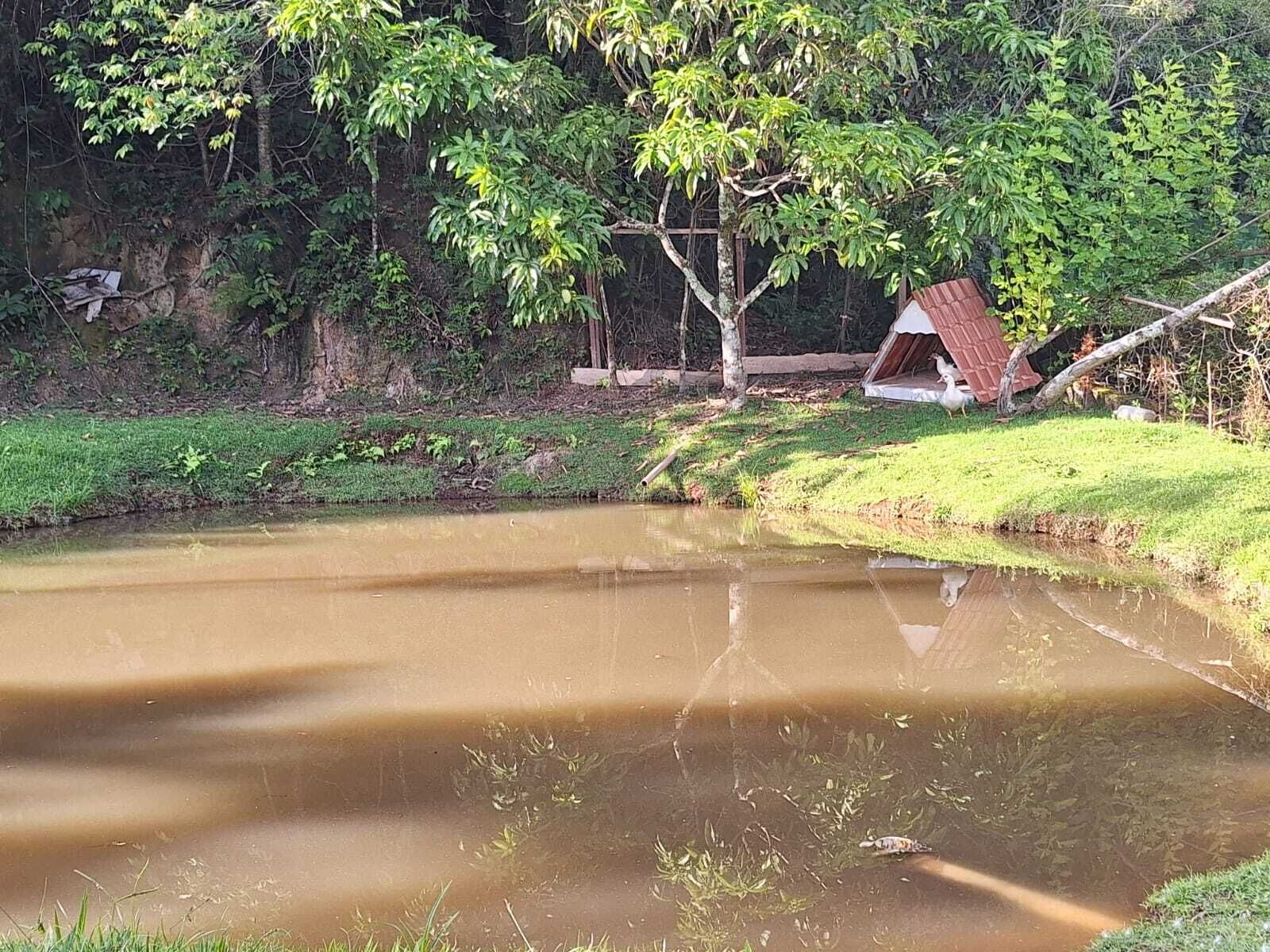 A pond with a small house on the bank, surrounded by greenery.