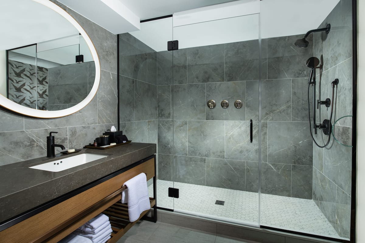 shower, hydromassage showerhead, designer toiletries, hair dryer