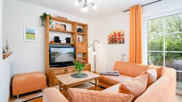 Fernseher, Stereoanlage