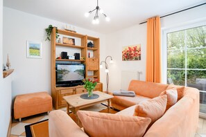 Fernseher, Stereoanlage