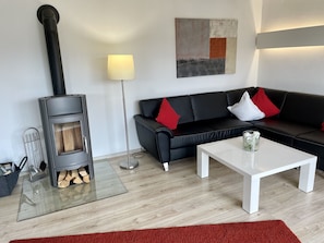 TV, fireplace, books