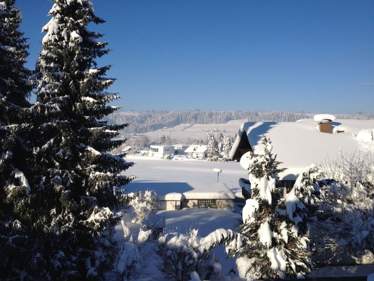A snow-covered landscape with a cabin and buildings in the background.