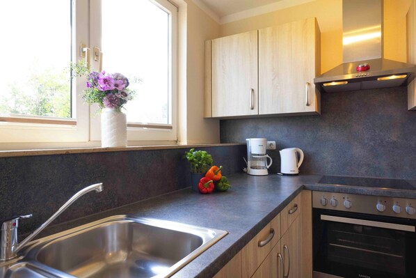 Fridge, oven, stovetop, dishwasher