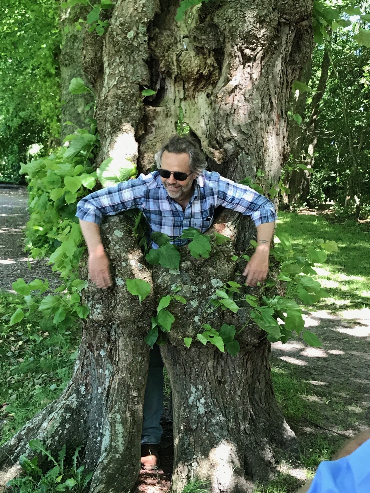A person leaning against a large tree trunk in a park.