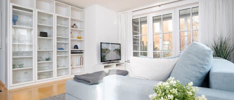 TV, books