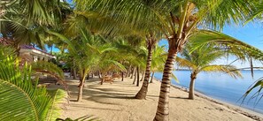 A beach with palm trees and a wooden bench. - Ceiba Beach Resort (Placencia)