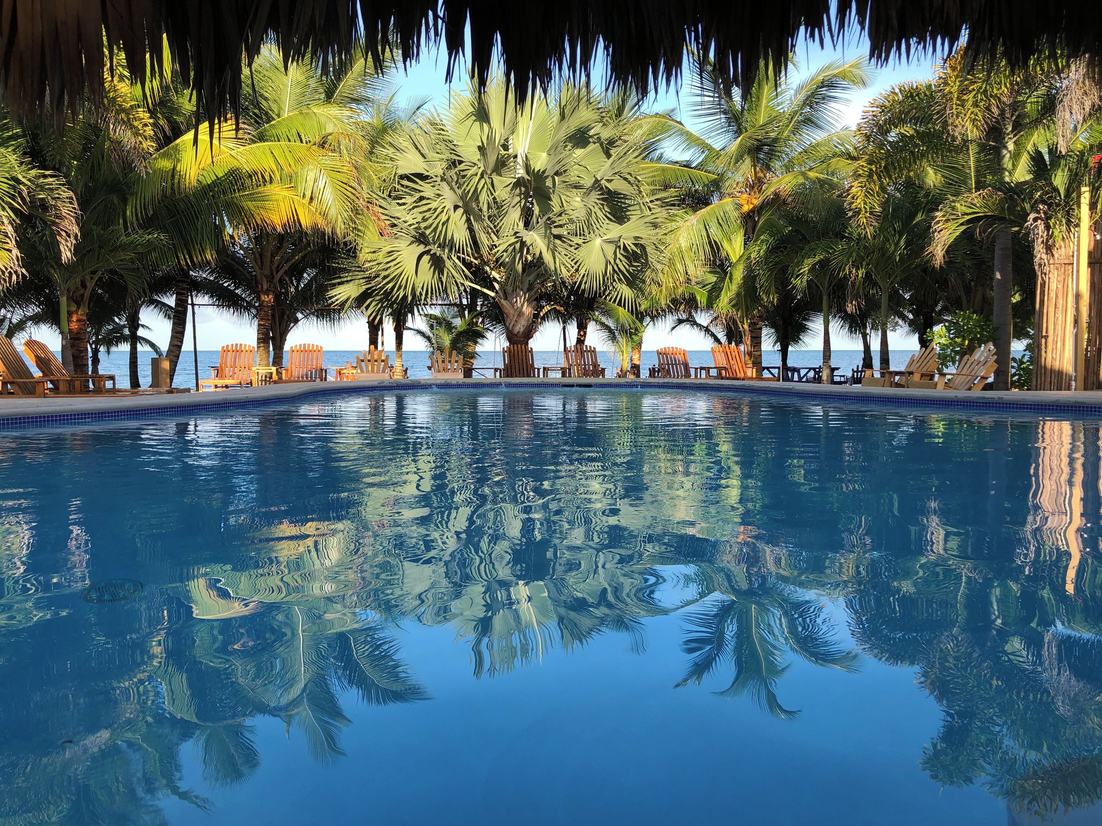 A clear pool with reflections of palm trees and a view of the sea.