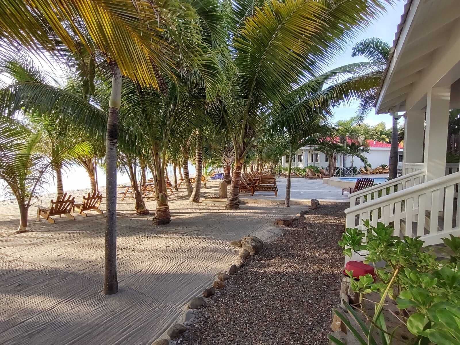 Un resort sulla spiaggia con palme, lettini e una zona piscina.