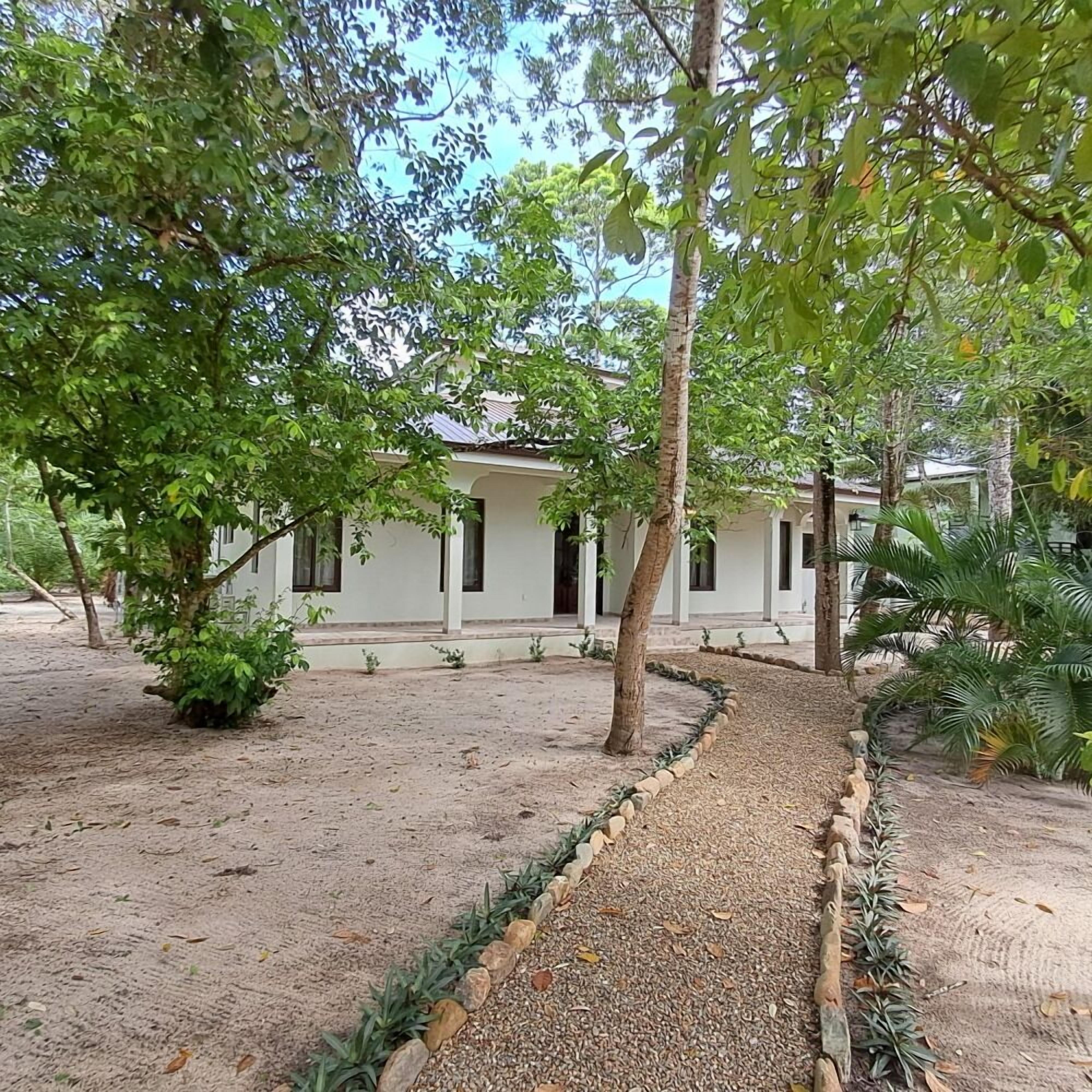 Un bâtiment à l’extérieur blanc, entouré d’arbres et bordé d’un chemin de gravier.