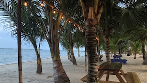 A beach scene with palm trees, a wooden bench, and a picnic table. - Ceiba Beach Resort (Placencia)