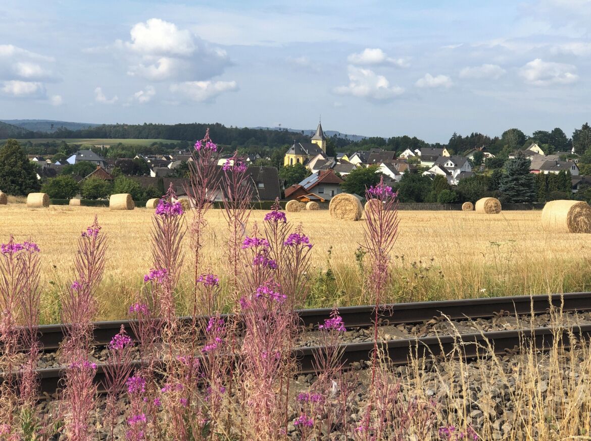 Ländliche Landschaft mit Heuballen, violetten Blumen und einer Kirche im Hintergrund.