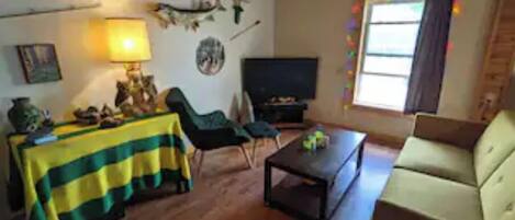 Smart TV, DVD player, books, video library