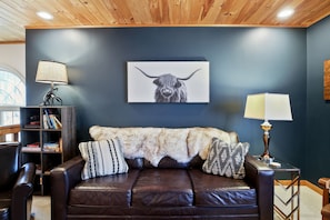 Smart TV, fireplace, books