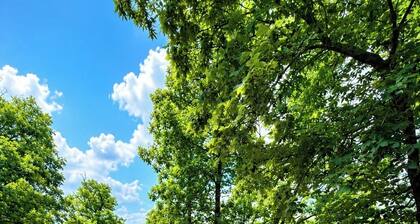 The Laurel at Lake Hamilton ~ Cabin Two