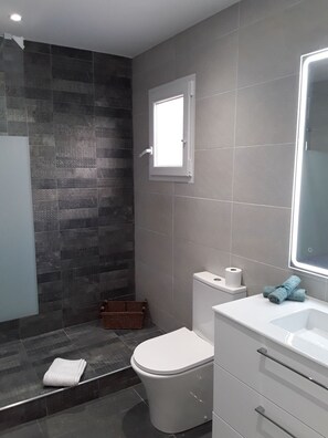 Shower, hair dryer, bidet, towels