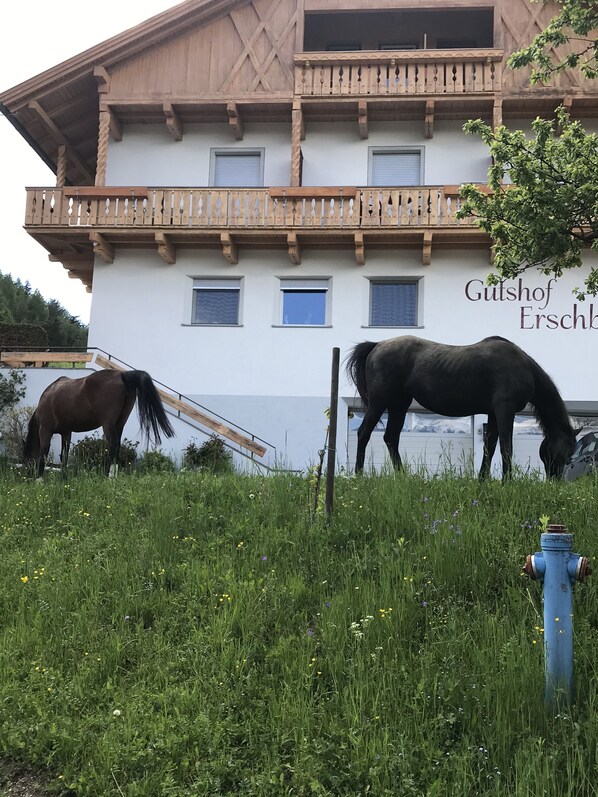 Un edificio con un balcón y un cartel que dice 'Gutshof Erschbach'.
