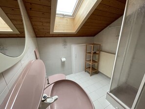 A small, compact bathroom with a skylight, a toilet, a sink, and a shelf unit.