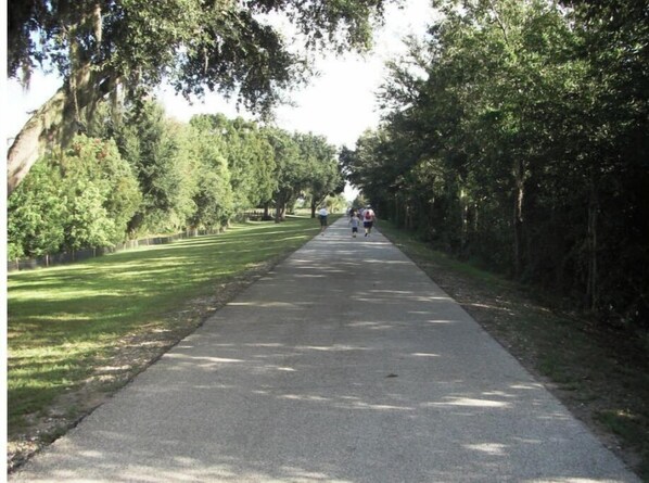 A paved pathway lined with trees, suitable for walking or jogging.