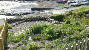 A rocky beach area with boats, a wooden fence, and a garden with purple flowers. - Cargoes (Alnwick)