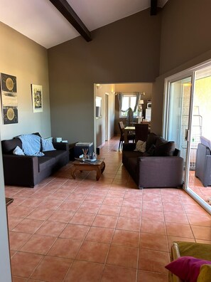 TV, fireplace, video games, DVD player