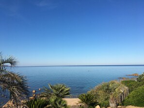Vista costeira com céu claro, mar calmo e palmeiras.